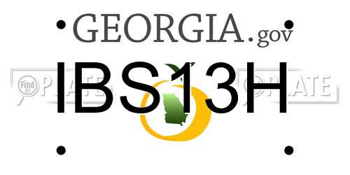 IBS13H Georgia License Plate
