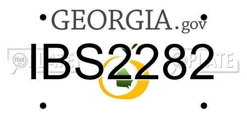 IBS2282 Georgia License Plate