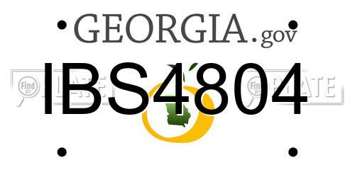 IBS4804 Georgia License Plate