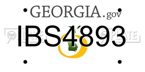 IBS4893 Georgia License Plate