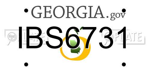 IBS6731 Georgia License Plate