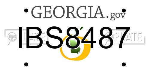IBS8487 Georgia License Plate