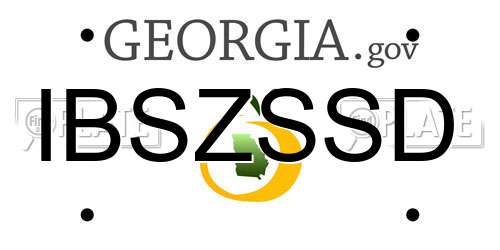 IBSZSSD Georgia License Plate