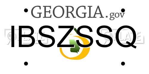 IBSZSSQ Georgia License Plate