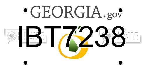 IBT7238 Georgia License Plate