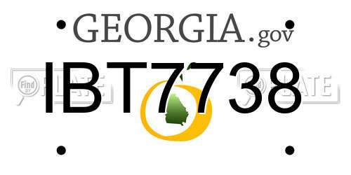 IBT7738 Georgia License Plate