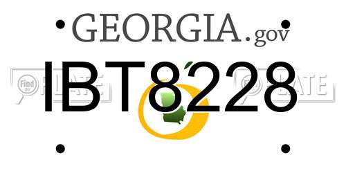 IBT8228 Georgia License Plate