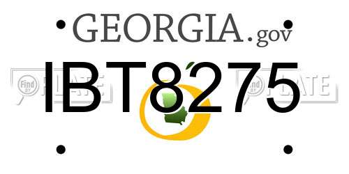 IBT8275 Georgia License Plate