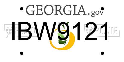 IBW9121 Georgia License Plate