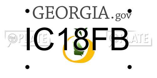 IC18FB Georgia License Plate
