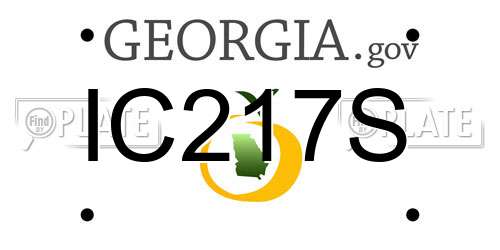IC217S Georgia License Plate