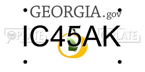 IC45AK Georgia License Plate