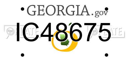 IC48675 Georgia License Plate