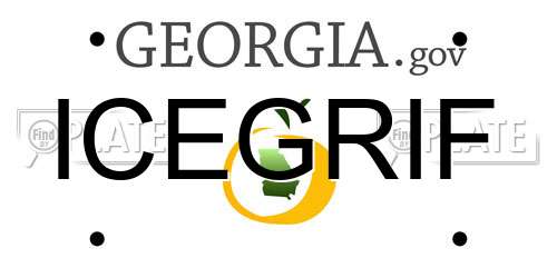ICEGRIF Georgia License Plate