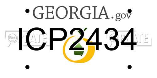 ICP2434 Georgia License Plate