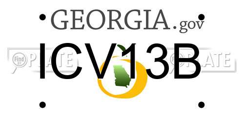 ICV13B Georgia License Plate