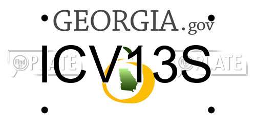 ICV13S Georgia License Plate