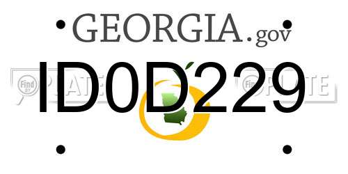 ID0D229 Georgia License Plate