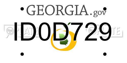 ID0D729 Georgia License Plate