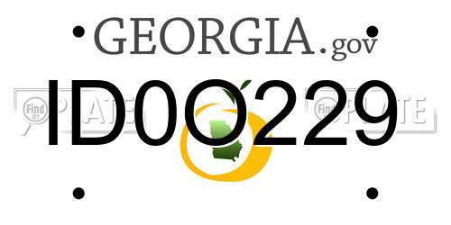 ID0O229 Georgia License Plate