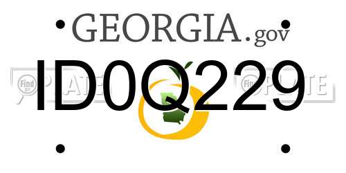 ID0Q229 Georgia License Plate