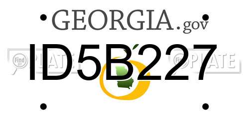 ID5B227 Georgia License Plate