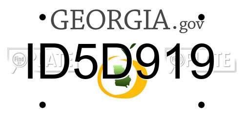 ID5D919 Georgia License Plate