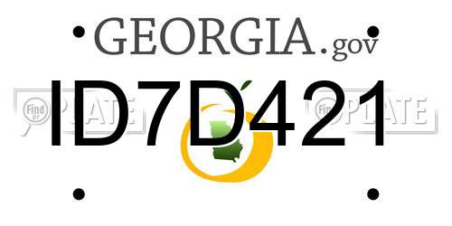 ID7D421 Georgia License Plate
