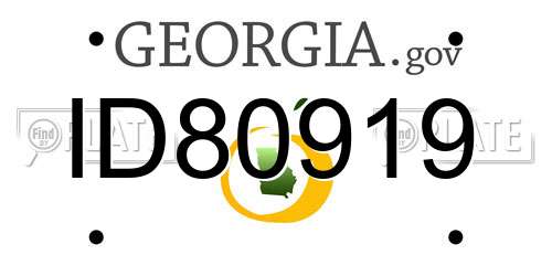 ID80919 Georgia License Plate