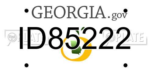 ID85222 Georgia License Plate