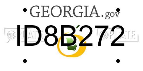 ID8B272 Georgia License Plate