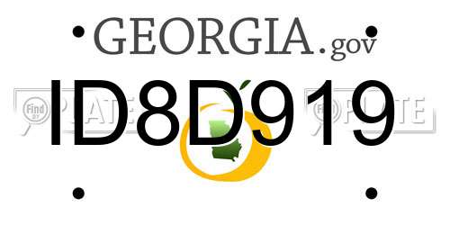 ID8D919 Georgia License Plate