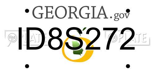 ID8S272 Georgia License Plate