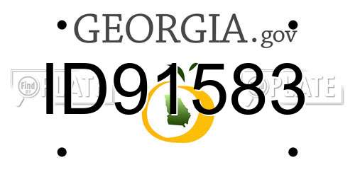 ID91583 Georgia License Plate