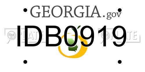 IDB0919 Georgia License Plate