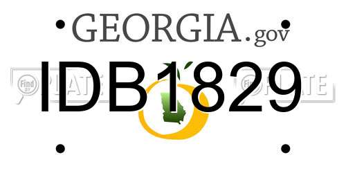 IDB1829 Georgia License Plate