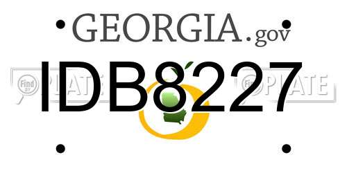 IDB8227 Georgia License Plate