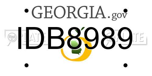 IDB8989 Georgia License Plate