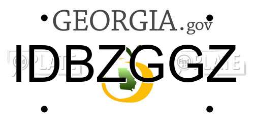 IDBZGGZ Georgia License Plate