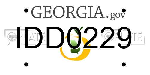 IDD0229 Georgia License Plate