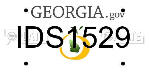 IDS1529 Georgia License Plate