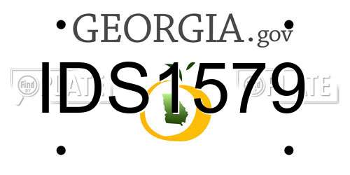 IDS1579 Georgia License Plate