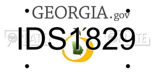 IDS1829 Georgia License Plate