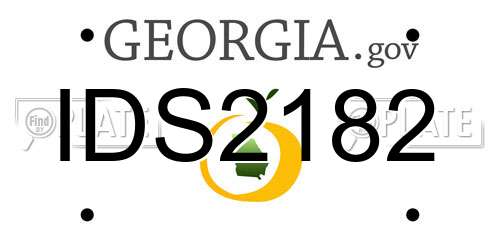IDS2182 Georgia License Plate