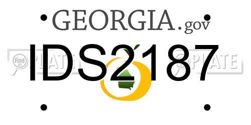 IDS2187 Georgia License Plate