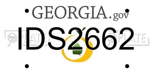 IDS2662 Georgia License Plate