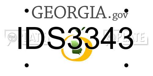 IDS3343 Georgia License Plate
