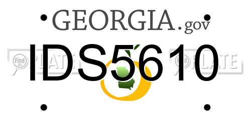 IDS5610 Georgia License Plate