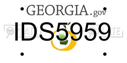 IDS5959 Georgia License Plate