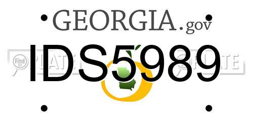 IDS5989 Georgia License Plate